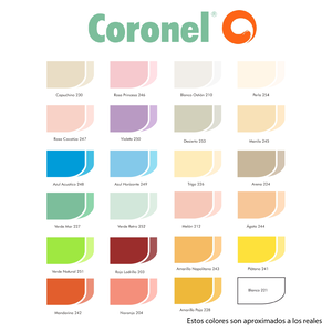 Pintura Vinilica CORONEL DOAL